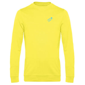 Robert №17 | Klassisch geschnittener light Sweater